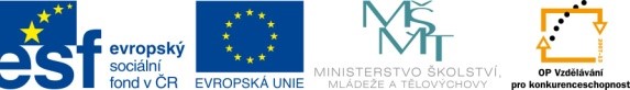 Fond ESF