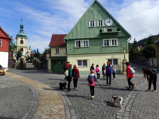 ceska kamenice