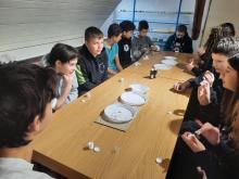 muzeum 7a
