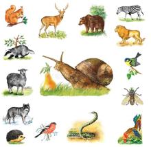 ŠD - přírodovědná soutěž